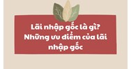 Lãi nhập gốc là gì? Những ưu điểm của lãi nhập gốc