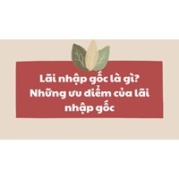 Lãi nhập gốc là gì? Những ưu điểm của lãi nhập gốc