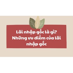 Lãi nhập gốc là gì? Những ưu điểm của lãi nhập gốc