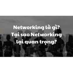 Networking là gì? Tại sao Networking lại quan trọng?
