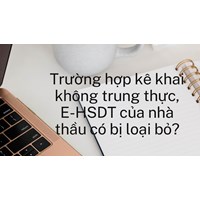 Trường hợp kê khai không trung thực, E-HSDT của nhà thầu có bị loại bỏ?