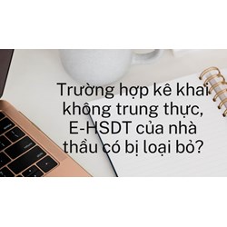 Trường hợp kê khai không trung thực, E-HSDT của nhà thầu có bị loại bỏ?
