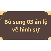 Bổ sung 03 án lệ về hình sự