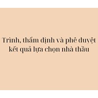 Trình, thẩm định và phê duyệt kết quả lựa chọn nhà thầu