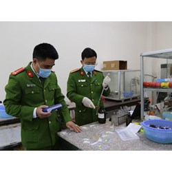 Các trường hợp bắt buộc trưng cầu giám định trong tố tụng hình sự