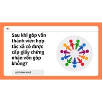 Sau khi góp vốn thành viên hợp tác xã có được cấp giấy chứng nhận vốn góp không?