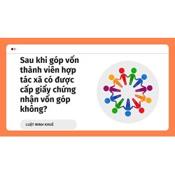 Sau khi góp vốn thành viên hợp tác xã có được cấp giấy chứng nhận vốn góp không?