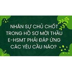 Nhân sự chủ chốt trong hồ sơ mời thầu E-HSMT phải đáp ứng các yêu cầu nào?