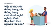 Việc tổ chức thi thăng hạng, xét thăng hạng chức danh nghề nghiệp được thực hiện theo nguyên tắc nào?
