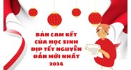 Bản cam kết của học sinh dịp tết Nguyên Đán mới nhất 2024