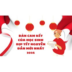 Bản cam kết của học sinh dịp tết Nguyên Đán mới nhất 2024