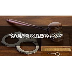 Hồ sơ đề nghị tha tù trước thời hạn có điều kiện có những tài liệu gì?