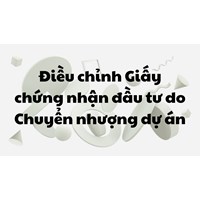 Điều chỉnh Giấy chứng nhận đầu tư do Chuyển nhượng dự án