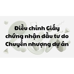 Điều chỉnh Giấy chứng nhận đầu tư do Chuyển nhượng dự án