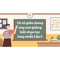 Tả cô giáo đang say sưa giảng bài chọn lọc hay nhất Lớp 5
