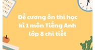 Đề cương ôn thi học kì 1 môn Tiếng Anh lớp 8 chi tiết nhất