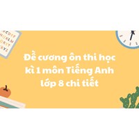 Đề cương ôn thi học kì 1 môn Tiếng Anh lớp 8 chi tiết nhất
