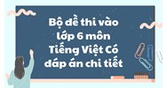 Bộ đề thi vào lớp 6 môn Tiếng Việt có đáp án chi tiết