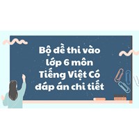 Bộ đề thi vào lớp 6 môn Tiếng Việt có đáp án chi tiết