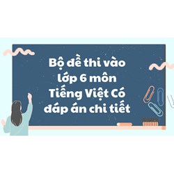 Bộ đề thi vào lớp 6 môn Tiếng Việt có đáp án chi tiết