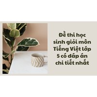 Đề thi học sinh giỏi môn Tiếng Việt lớp 5 có đáp án chi tiết nhất