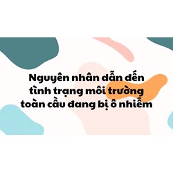 Nguyên nhân dẫn đến tình trạng môi trường toàn cầu đang bị ô nhiễm