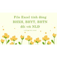 File Excel tính đóng BHXH, BHYT, BHTN đối với NLĐ