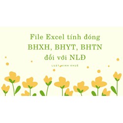 File Excel tính đóng BHXH, BHYT, BHTN đối với NLĐ