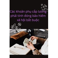 Các khoản phụ cấp lương phải tính đóng bảo hiểm xã hội bắt buộc