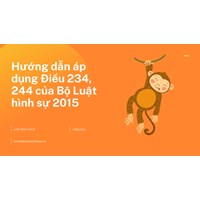 Hướng dẫn áp dụng Điều 234, 244 của Bộ Luật hình sự 2015