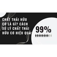 Chất thải hữu cơ là gì? Cách xử lý chất thải hữu cơ hiệu quả