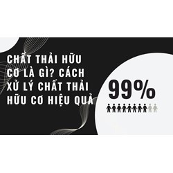 Chất thải hữu cơ là gì? Cách xử lý chất thải hữu cơ hiệu quả