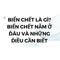 Biển chết là gì? Biển chết nằm ở đâu và những điều cần biết
