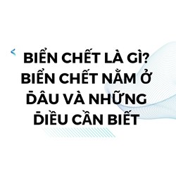 Biển chết là gì? Biển chết nằm ở đâu và những điều cần biết