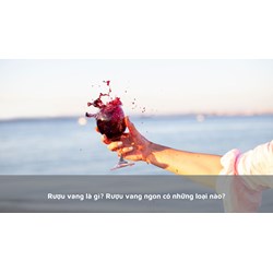 Rượu vang là gì? Rượu vang ngon có những loại nào?