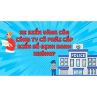 Xe biển vàng đứng tên công ty có phải cấp biển số định danh không?