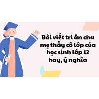 Bài viết tri ân cha mẹ thầy cô lớp của học sinh lớp 12 hay, ý nghĩa