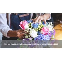 Mẫu bài thuyết trình cắm hoa ngày 20/10 hay, ý nghĩa nhất