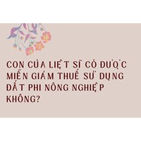 Con của liệt sĩ có được  miễn giảm thuế sử dụng đất phi nông nghiệp không?