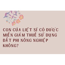 Con của liệt sĩ có được  miễn giảm thuế sử dụng đất phi nông nghiệp không?