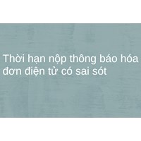 Thời hạn nộp thông báo hóa đơn điện tử có sai sót