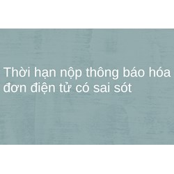 Thời hạn nộp thông báo hóa đơn điện tử có sai sót