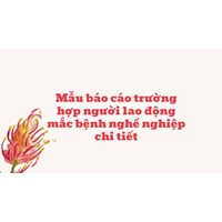 Mẫu báo cáo trường hợp người lao động mắc bệnh nghề nghiệp chi tiết