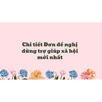 Chi tiết Đơn đề nghị dừng trợ giúp xã hội mới nhất