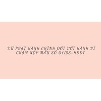 Xử phạt hành chính đối với hành vi chậm nộp Mẫu 04/SS-HĐĐT