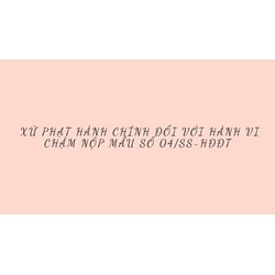 Xử phạt hành chính đối với hành vi chậm nộp Mẫu 04/SS-HĐĐT