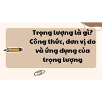 Trọng lượng là gì? Công thức, đơn vị đo và ứng dụng của trọng lượng