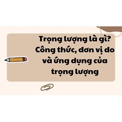 Trọng lượng là gì? Công thức, đơn vị đo và ứng dụng của trọng lượng