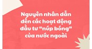 Nguyên nhân dẫn đến các hoạt động đầu tư “núp bóng” của nước ngoài