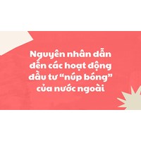 Nguyên nhân dẫn đến các hoạt động đầu tư “núp bóng” của nước ngoài